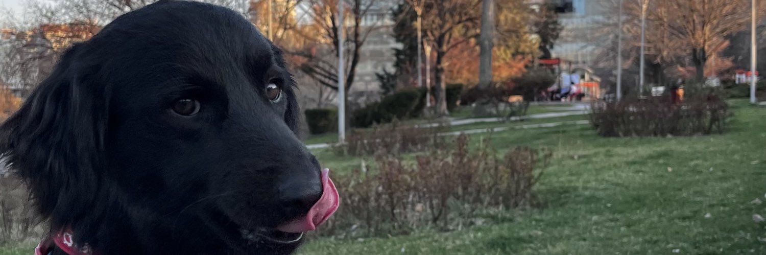 glsemglsem's profile banner image