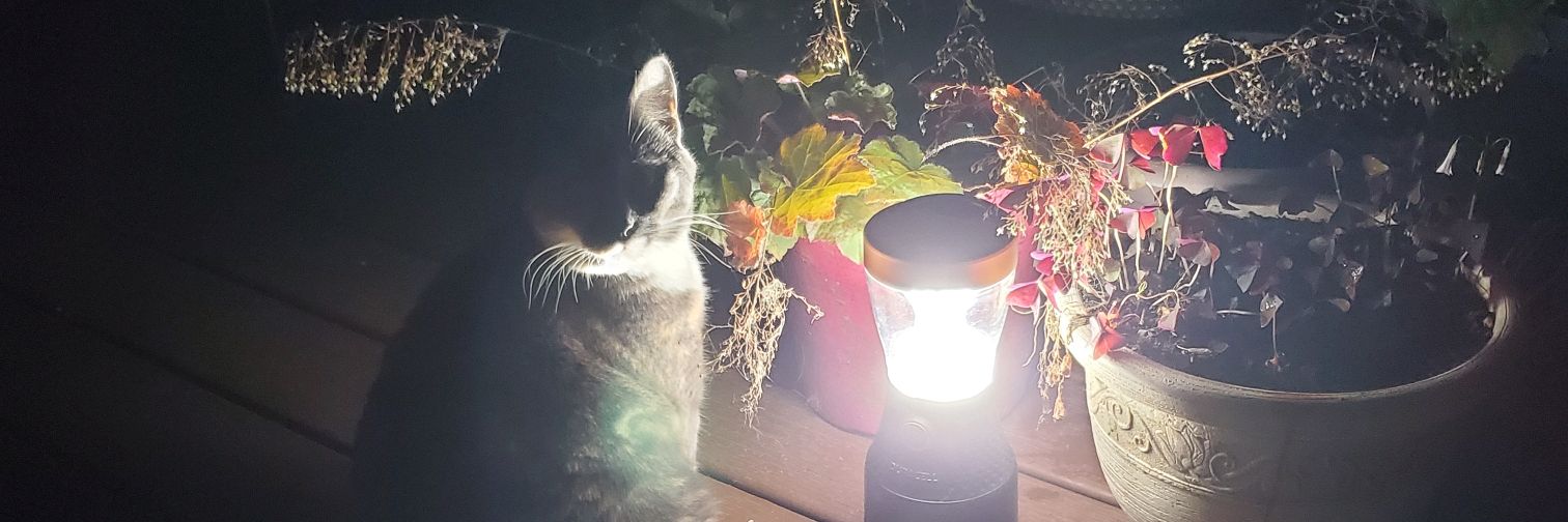 rionisms's profile banner image