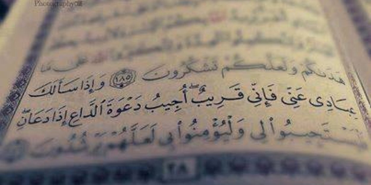 nada_rizk's profile banner image