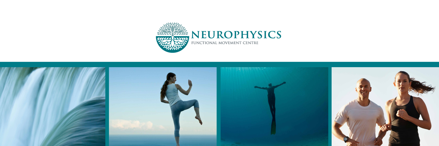NeuroPhysicsFMC's profile banner image