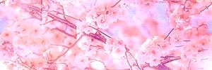 MagnoliaWarrior's profile banner image