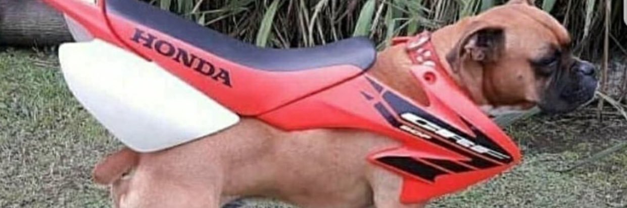 ethanjames92's profile banner image