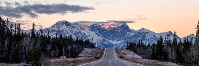 ❄️ banner