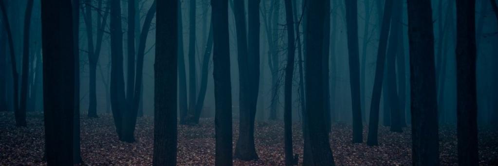 indigoirate's profile banner image