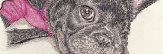 はるまん💮お宅のシッポちゃん描かせて頂きます😃 banner