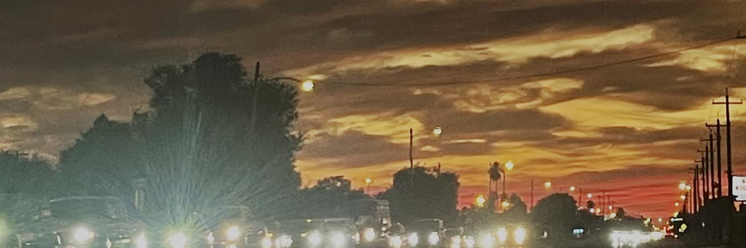 siidneylynn's profile banner image