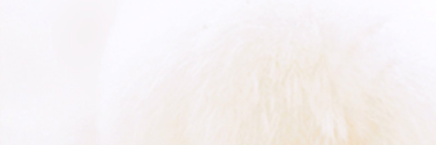 白玉 banner