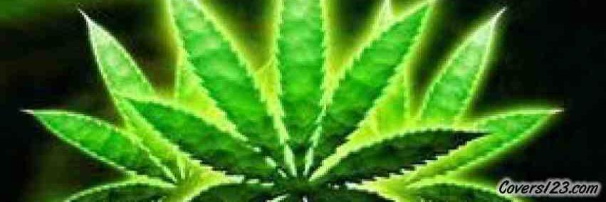 420funnies's profile banner image