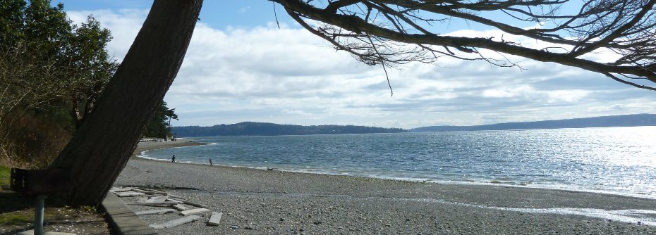 Maggie. ✨🏴󠁧󠁢󠁳󠁣󠁴󠁿📚 🍏 banner