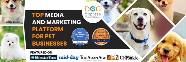 Dog_express Profile Banner