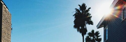 erlingiofani5's profile banner image