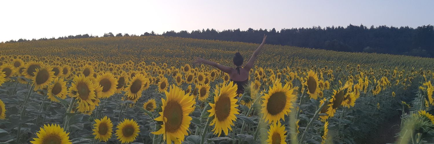 u_isilay's profile banner image
