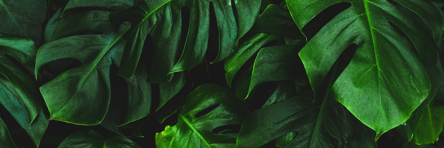 eebiejeebiez's profile banner image