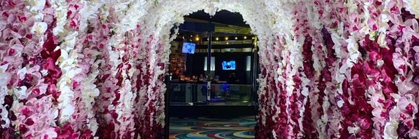 chiushley Profile Banner