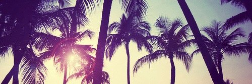 NoorTehini's profile banner image
