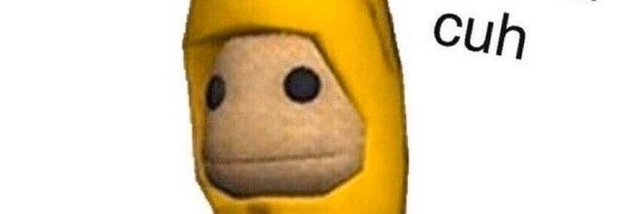 BoomerRingo's profile banner image