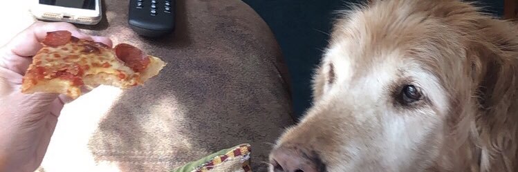 NicoleWest4's profile banner image