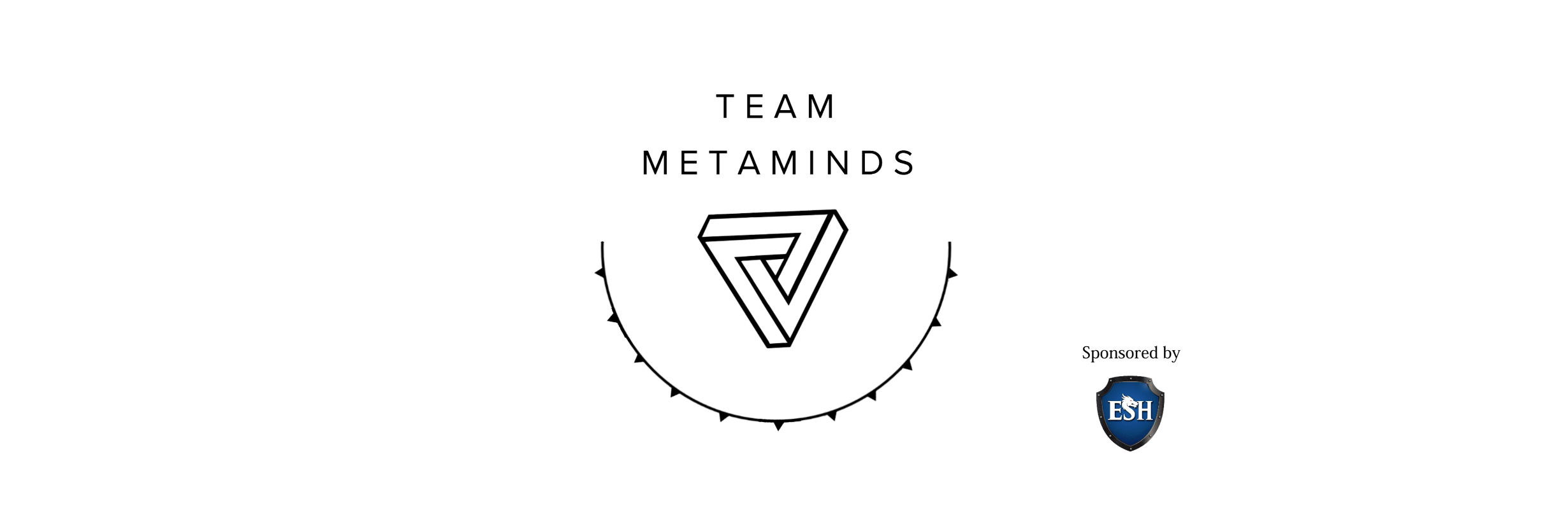 TeamMetaminds's profile banner image