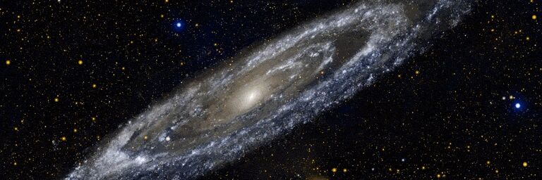 willetippin's profile banner image