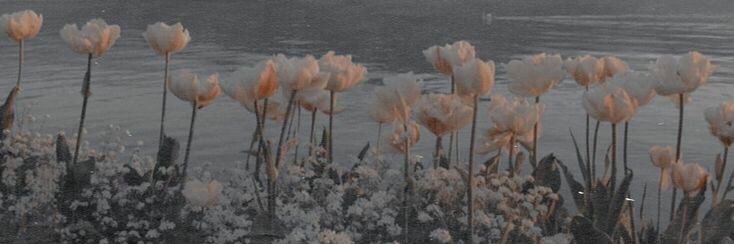 ◜ ☥ 𝐑. banner