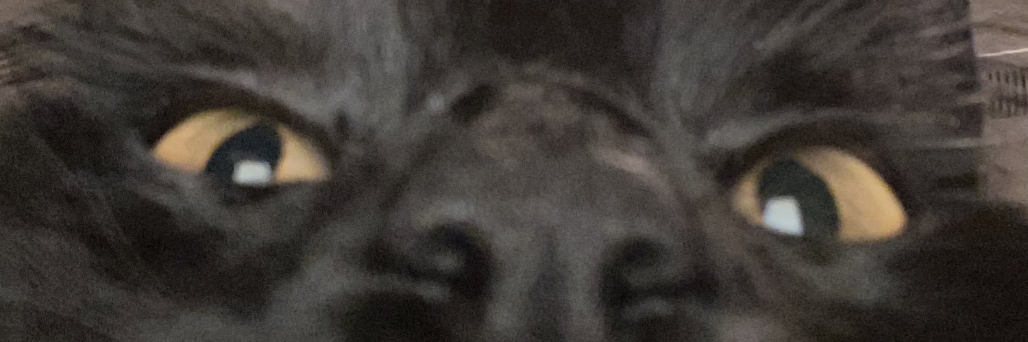 dddevynnwitt's profile banner image