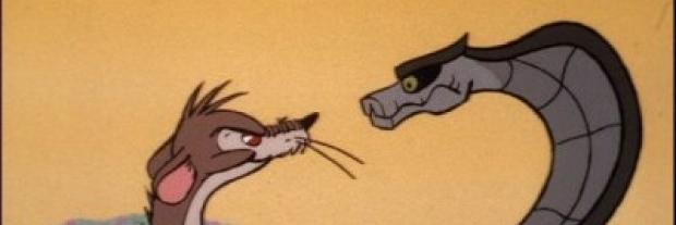 austin_mongoose's profile banner image
