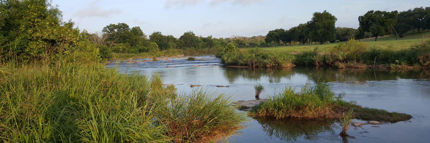 Rebecca Bottin banner