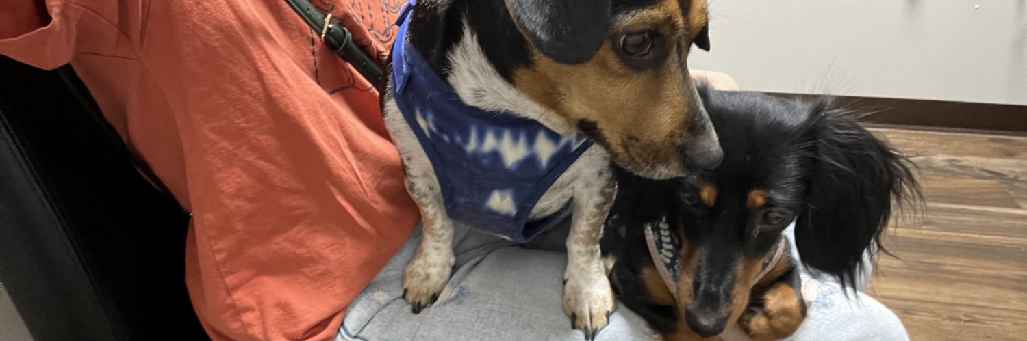 Laura Ashlee❁ banner