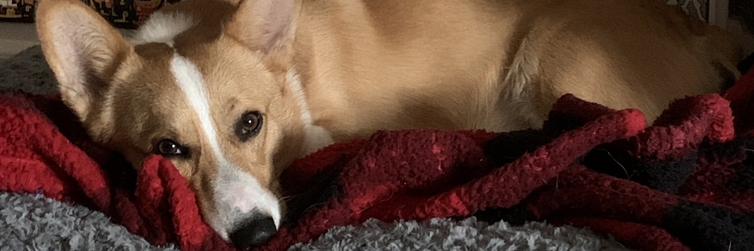 xCatsYo's profile banner image