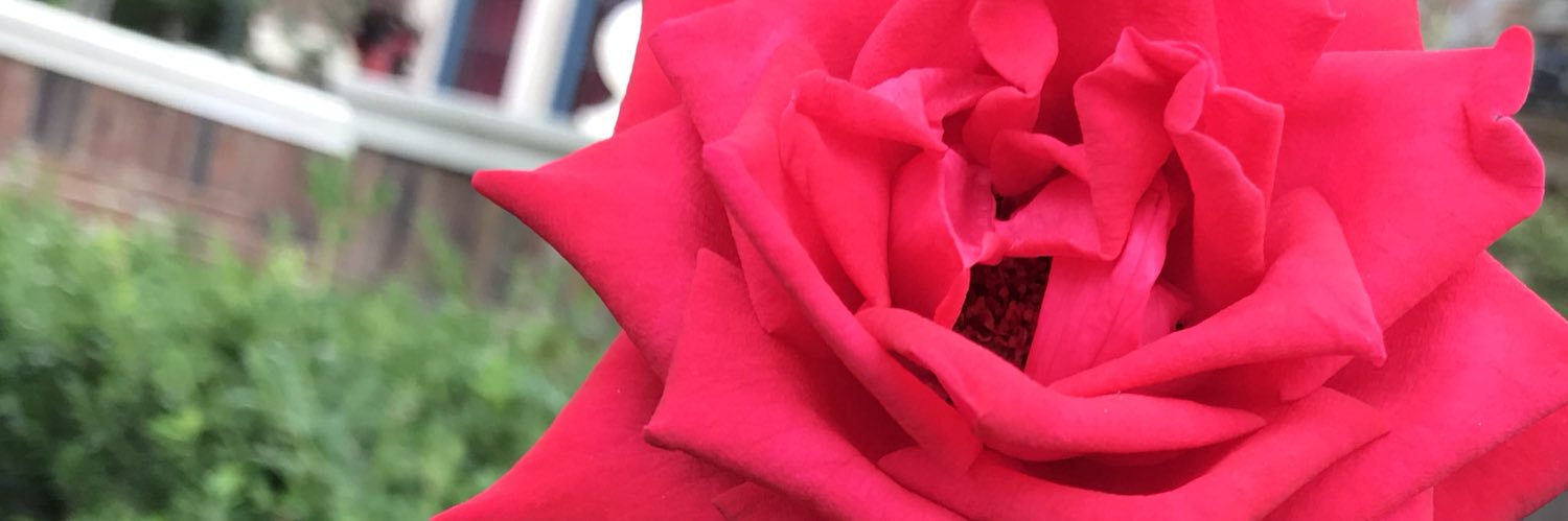 NyaShi_'s profile banner image