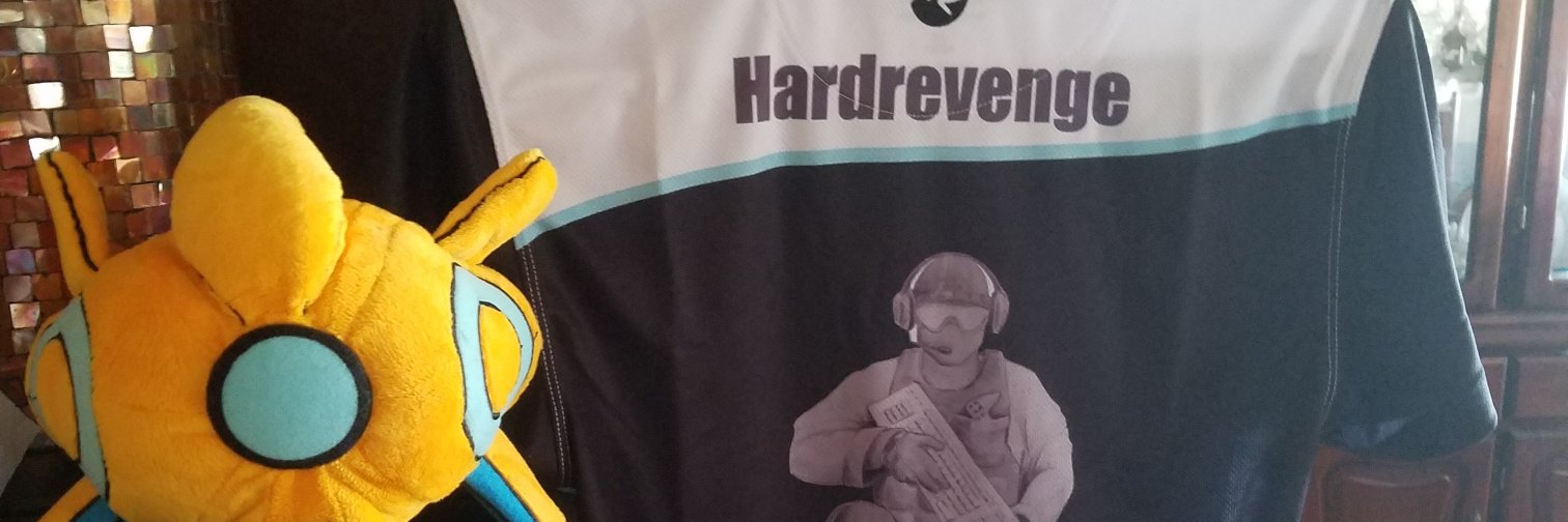 RevengeToaster's profile banner image