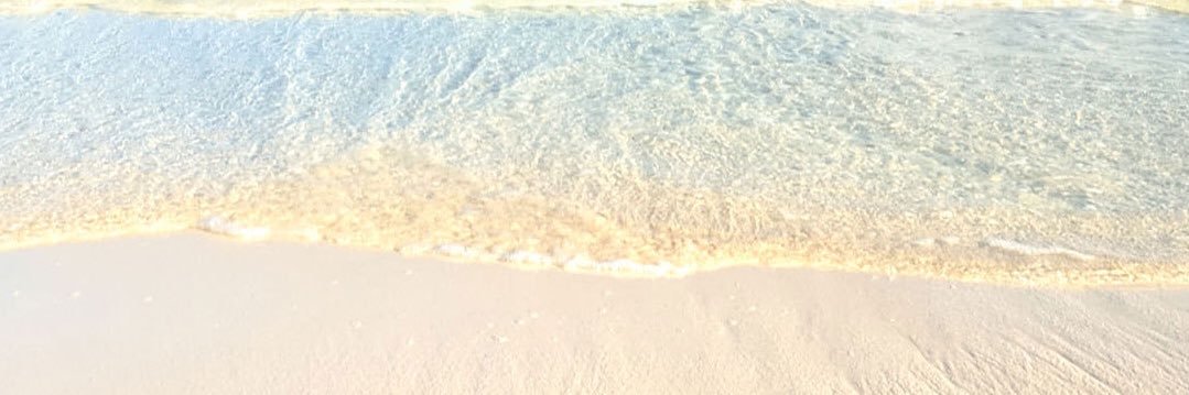 SPEC_yyyy's profile banner image