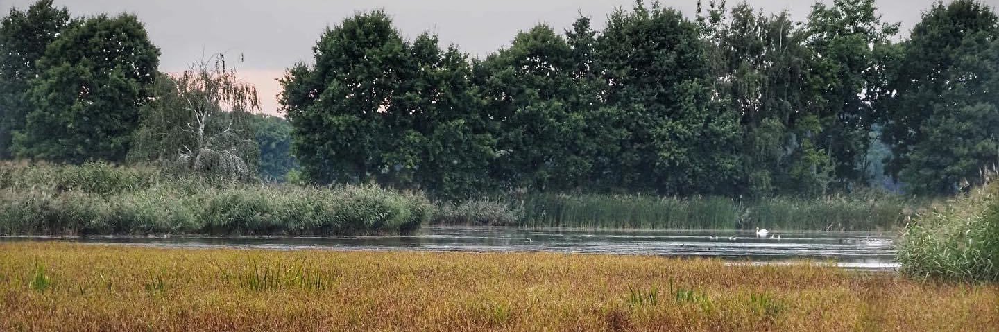 ZaCholujSie's profile banner image