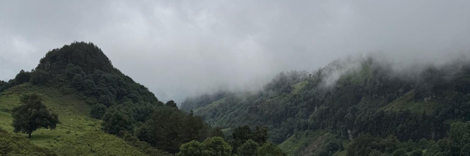 ipepearriaga's profile banner image