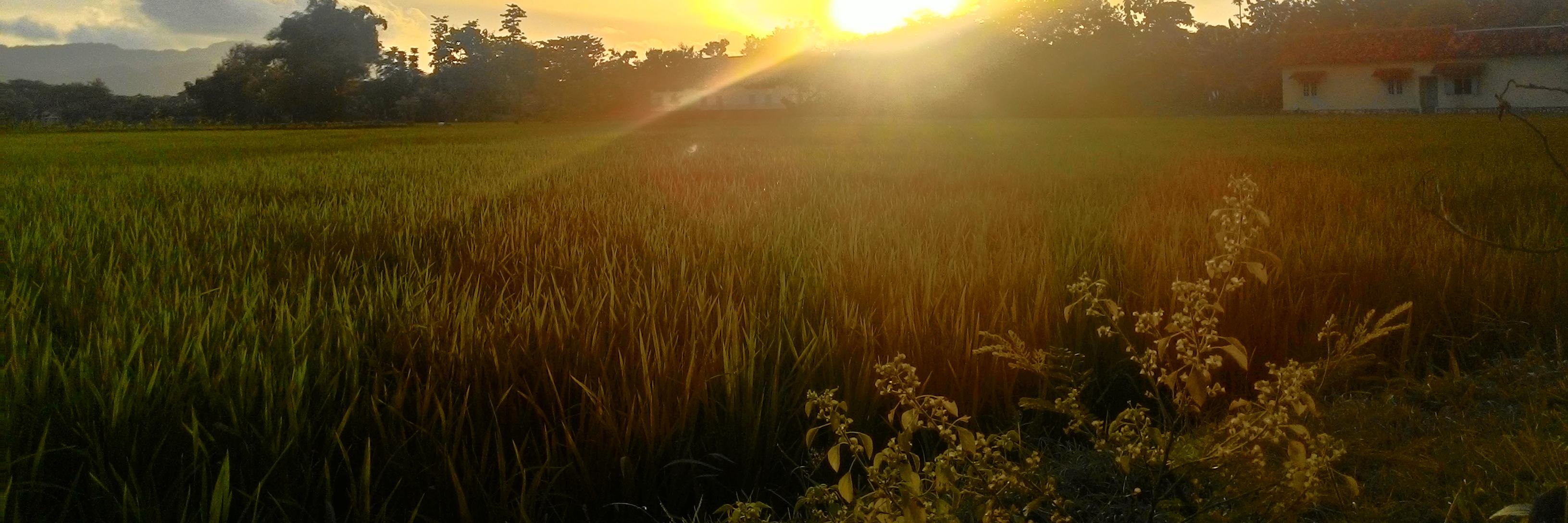 setiawanleoz's profile banner image