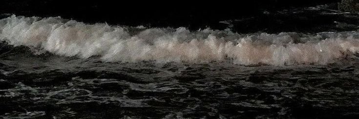 booookies's profile banner image
