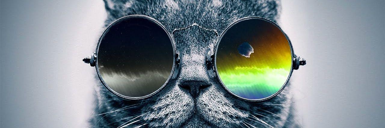 Defy_Hooey's profile banner image