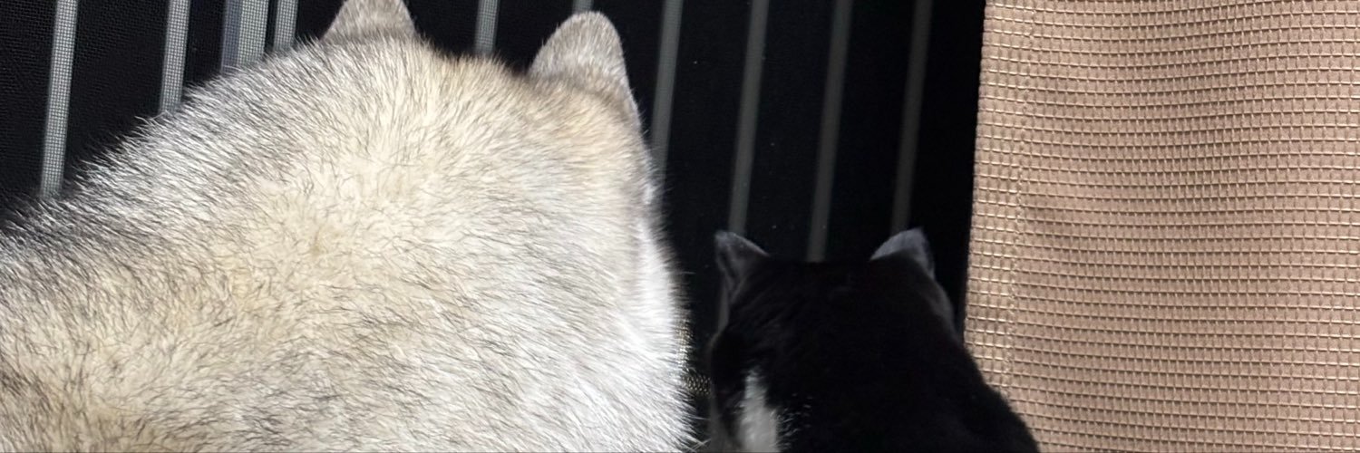 withaoi01211's profile banner image
