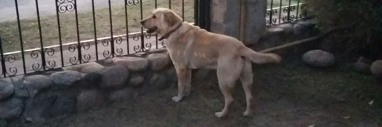 pablo palomeque banner