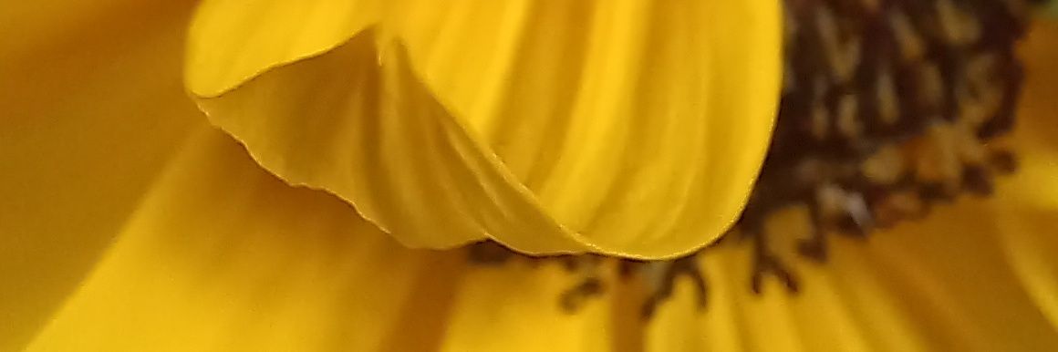 marpasquale_'s profile banner image