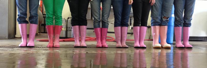 PinkBoots Society MN banner