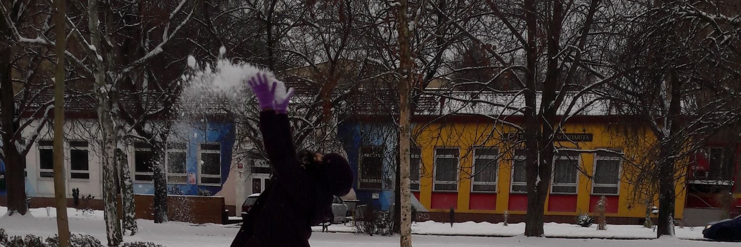 Shahram 🇮🇷 banner