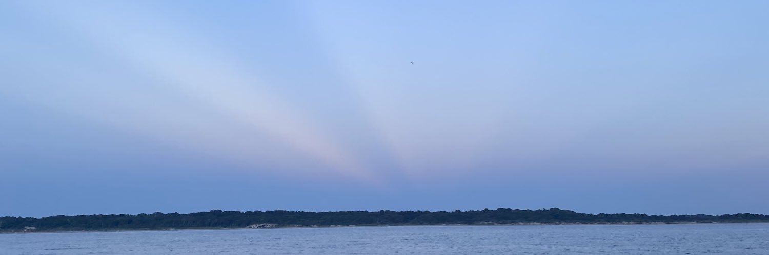 MommaJNJ's profile banner image