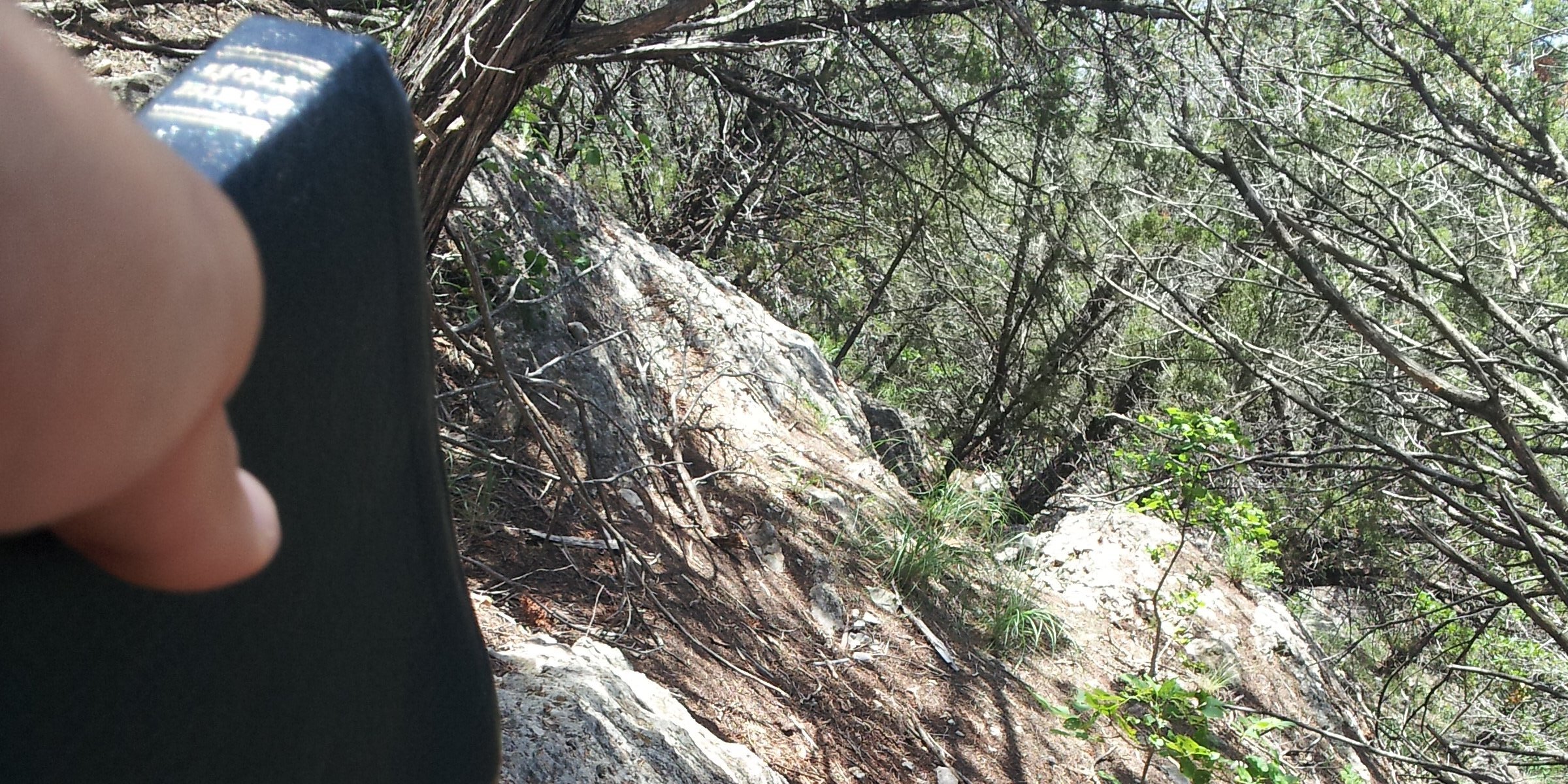 _MagicMan's profile banner image