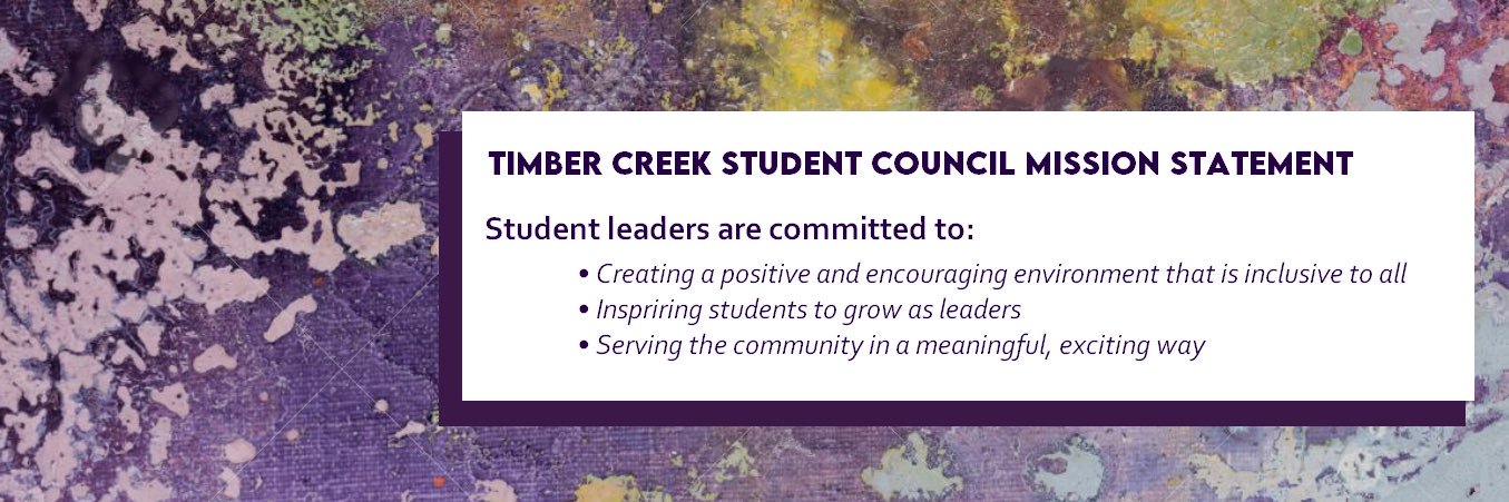 TCHS StuCo banner