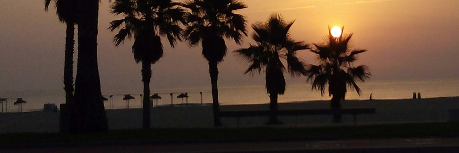 MarioGomCor's profile banner image
