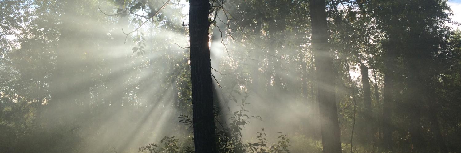 AlWardale's profile banner image