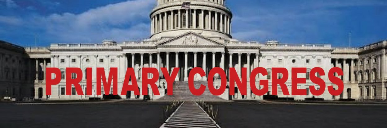 Primary Congress banner