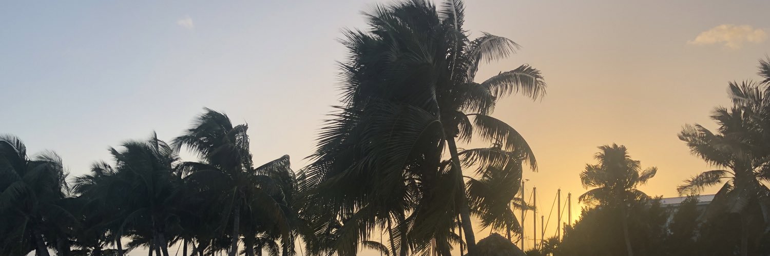 MurraySwann's profile banner image