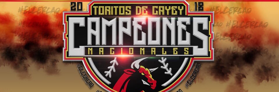 ToritosAA's profile banner image